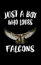 Just A Boy Who Loves Falcons