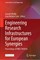 Engineering Research Infrastructures for European Synergies
