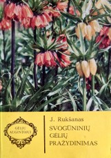 Svogūninių gėlių pražydinimas