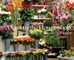 A Visit to the Flower Shop