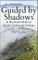 Guided by Shadows