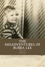 The Misadventures of Bubba Lee