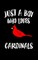 Just A Boy Who Loves Cardinals