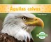 Ãguilas Calvas (Bald Eagles) (Spanish Version)