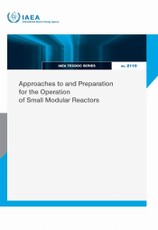 Approaches to and Preparation for the Operation of Small Modular Reactors