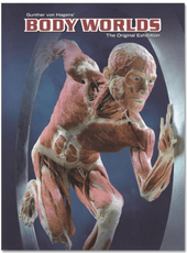Body Worlds. The Original Exhibition