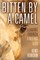 Bitten by a Camel
