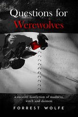 Questions for Werewolves