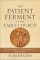 Patient Ferment of the Early Church