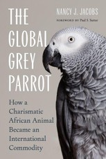 The Global Grey Parrot