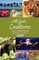 All God's Creatures 2027