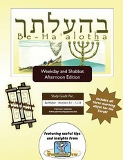 Bar/Bat Mitzvah Survival Guides