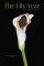 Lily Year