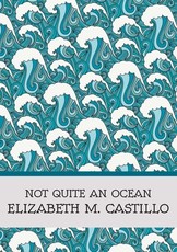 Not Quite an Ocean