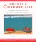 Creating a Charmed Life