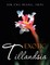 Hiang FRPS, S: Exotic Tillandsia