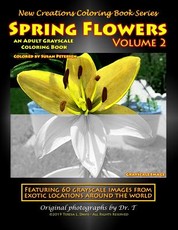 New Creations Coloring Book Series