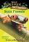 Rain Forests