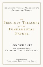 The Precious Treasury of the Fundamental Nature