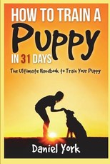 How to Train a Puppy in 31 days