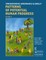 Hughes, B: Strengthening Governance Globally