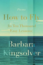 How to Fly (in Ten Thousand Easy Lessons)