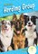 Herding Group