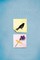 Niven, J: All the Bright Places Collector's Edition