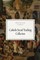 Catholic Social Teaching Collection