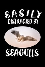 Easily Distracted By Seagulls