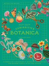 Cut-Out Curiosities