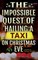 The Impossible Quest of Hailing a Taxi on Christmas Eve
