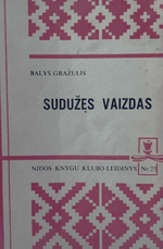 Sudužęs vaizdas