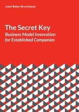 The Secret Key: Business Model Innovation for Established Companies