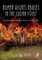 Human Rights Abuses in the Sudan 1987