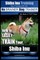 Shiba Inu Training - Dog Training with the No BRAINER Dog TRAINER We Make it That Easy!