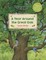 A Year Around the Great Oak
