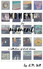 Moment by Moment