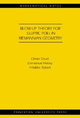 Blow-Up Theory for Elliptic Pdes in Riemannian Geometry (Mn-45)