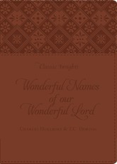 Wonderful Names of Our Wonderful Lord