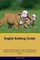 Phillips, S: English Bulldog Guide  English Bulldog Guide In