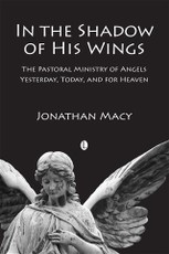 In the Shadow of His Wings