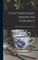 Contemporary American Ceramics