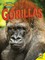 Gorillas
