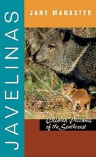 Javelinas