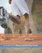 South Carolina Life Insurance Producer License Exam Review Questions & Answers 2016/17 Edition