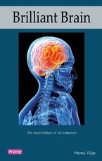 Brilliant Brain