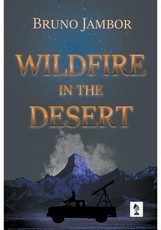 Wildfire in The Desert