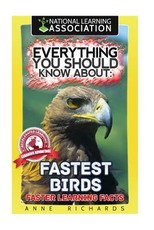 Everything You Should Know About