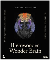 Wonder Brain